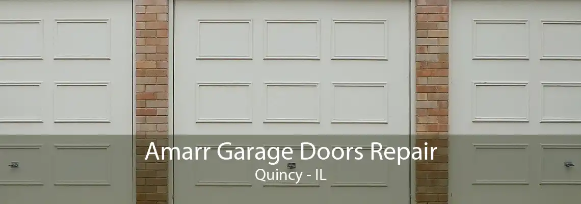 Amarr Garage Doors Repair Quincy - IL