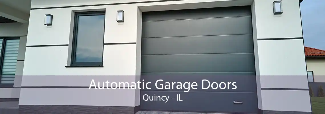 Automatic Garage Doors Quincy - IL