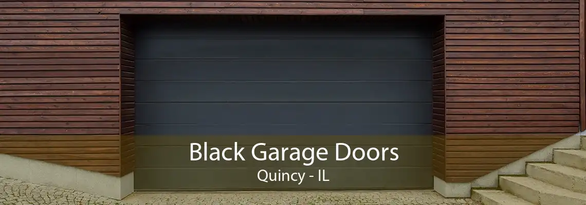 Black Garage Doors Quincy - IL