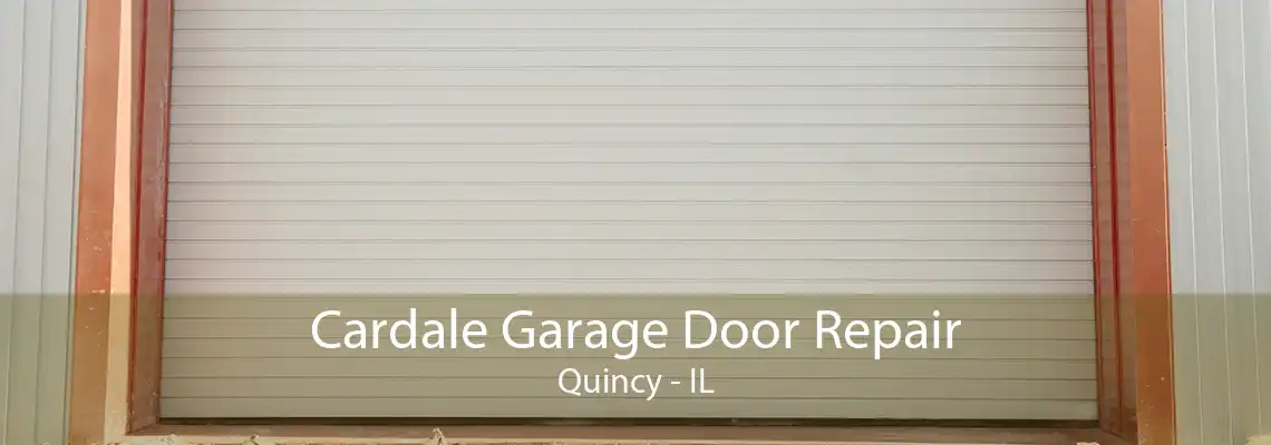 Cardale Garage Door Repair Quincy - IL