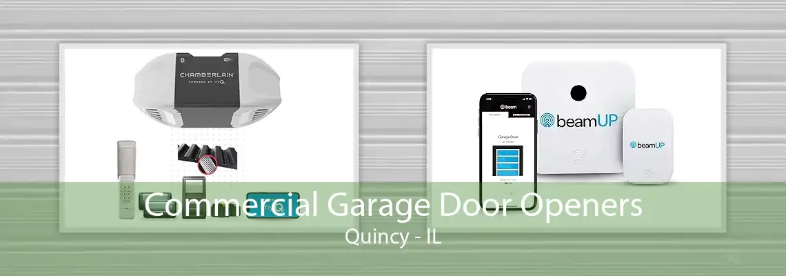 Commercial Garage Door Openers Quincy - IL