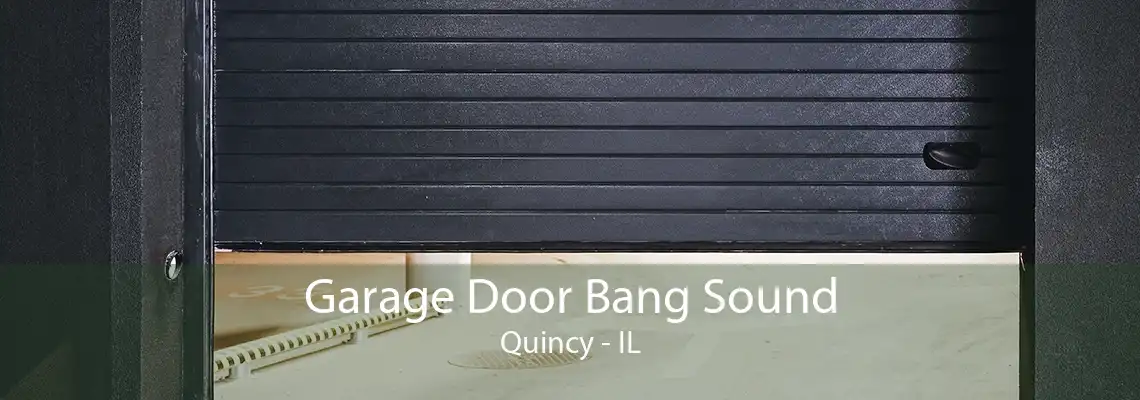 Garage Door Bang Sound Quincy - IL