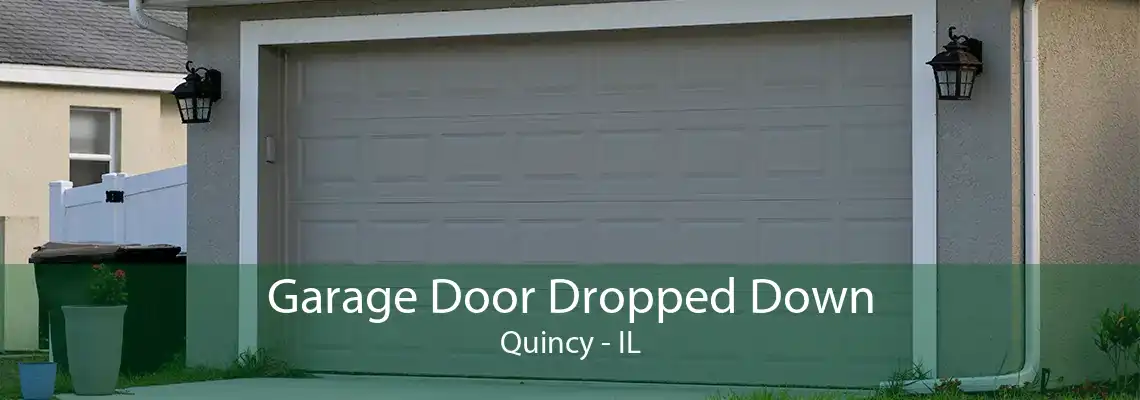 Garage Door Dropped Down Quincy - IL