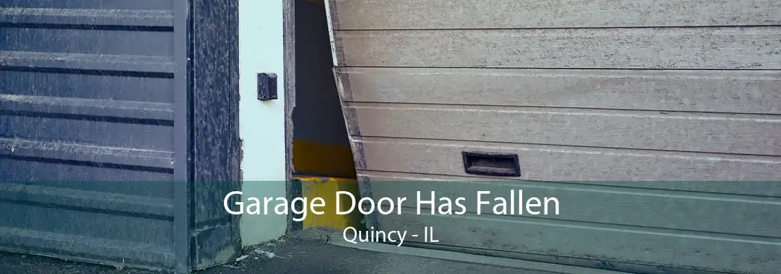 Garage Door Has Fallen Quincy - IL