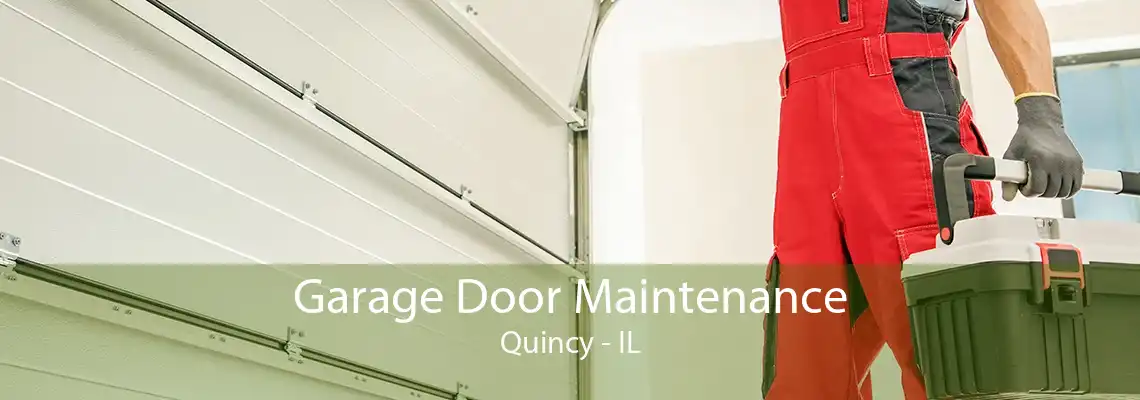 Garage Door Maintenance Quincy - IL