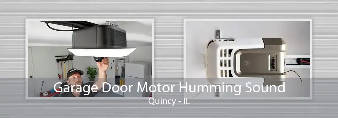 Garage Door Motor Humming Sound Quincy - IL