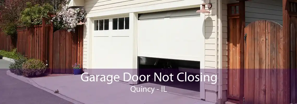 Garage Door Not Closing Quincy - IL