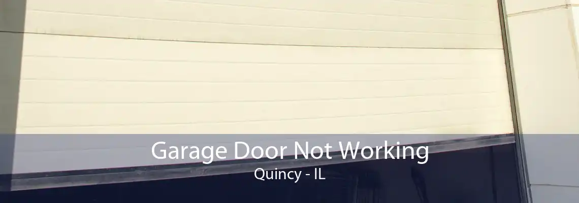 Garage Door Not Working Quincy - IL