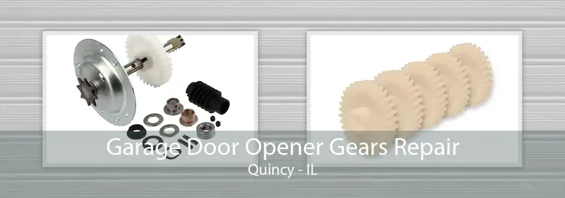 Garage Door Opener Gears Repair Quincy - IL