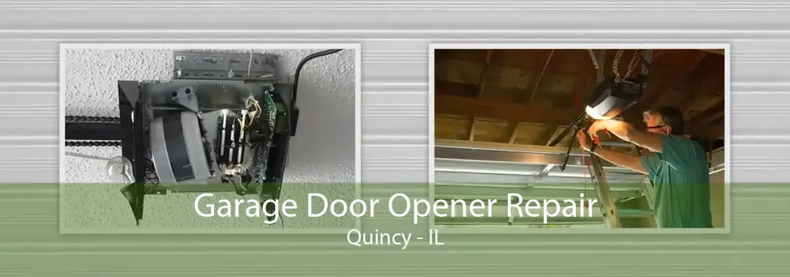 Garage Door Opener Repair Quincy - IL