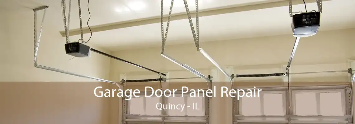 Garage Door Panel Repair Quincy - IL