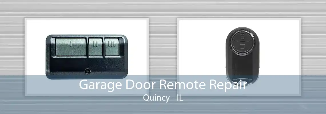 Garage Door Remote Repair Quincy - IL