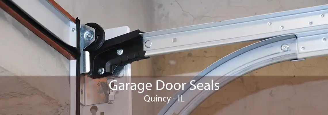 Garage Door Seals Quincy - IL