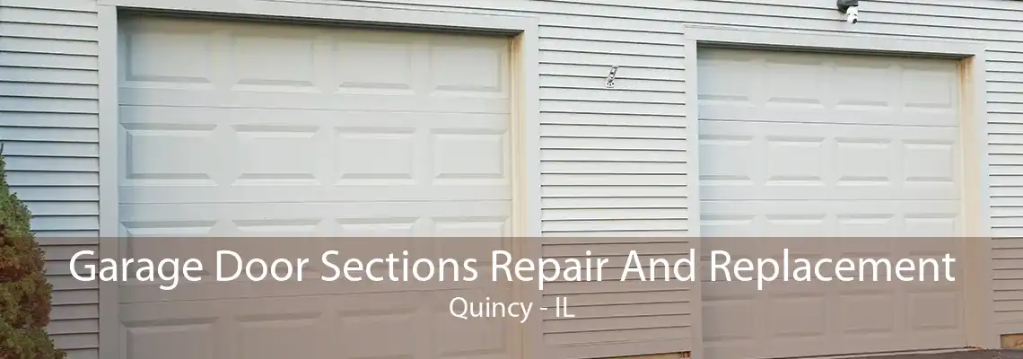 Garage Door Sections Repair And Replacement Quincy - IL