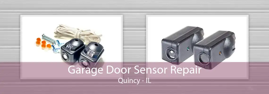 Garage Door Sensor Repair Quincy - IL