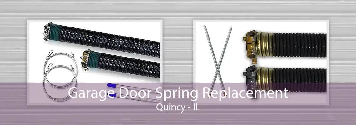 Garage Door Spring Replacement Quincy - IL