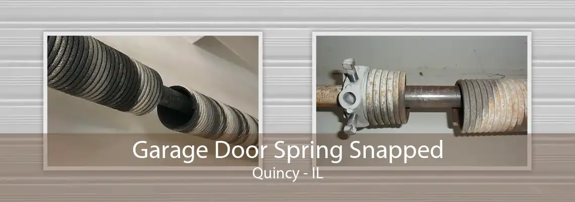 Garage Door Spring Snapped Quincy - IL