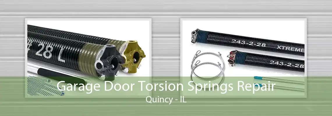 Garage Door Torsion Springs Repair Quincy - IL