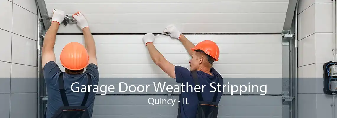 Garage Door Weather Stripping Quincy - IL