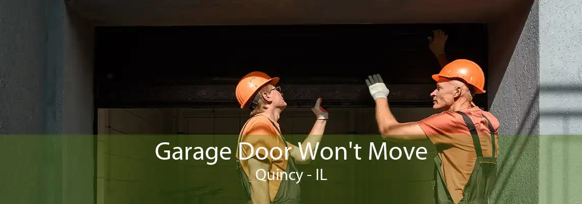 Garage Door Won't Move Quincy - IL