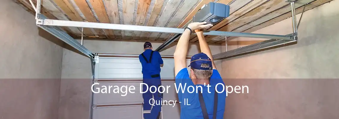 Garage Door Won't Open Quincy - IL