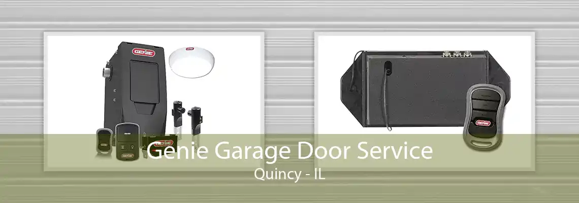 Genie Garage Door Service Quincy - IL