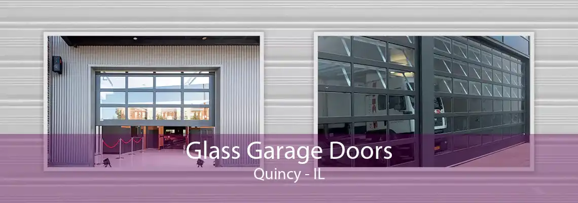 Glass Garage Doors Quincy - IL