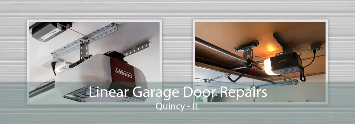 Linear Garage Door Repairs Quincy - IL