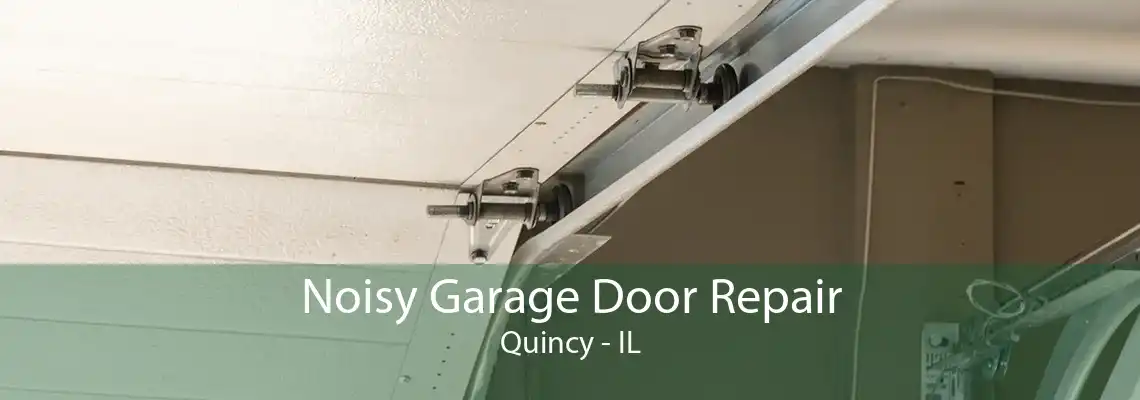 Noisy Garage Door Repair Quincy - IL