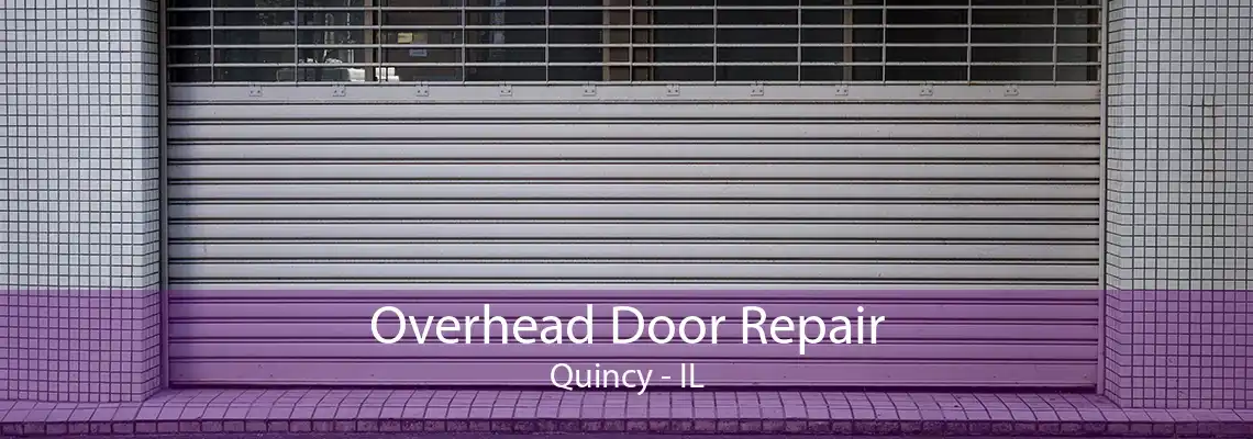 Overhead Door Repair Quincy - IL