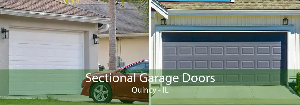 Sectional Garage Doors Quincy - IL